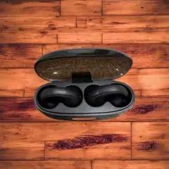 Item thumbnail for item 739dc1ba-22b1-49ca-9814-dbeb84d23936