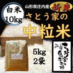 【中米】新米 山形県庄内産 中粒米 白米10kg
