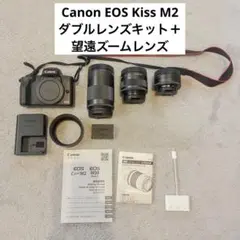 Item thumbnail for item 292dd321-f772-411e-9749-c9146e8e1968