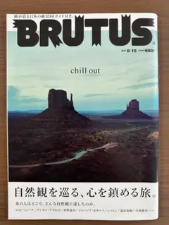 BRUTUS(ブルータス) No.714 　2011年8月15日号