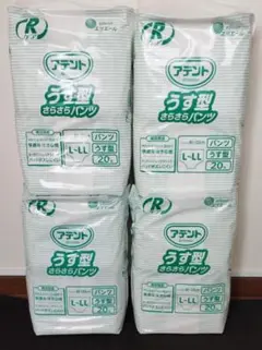 Item thumbnail for item 57a146e6-95ac-4ab6-a9cc-948e4e6574cb