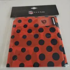 NFL CHICAGO BEARS 5 x 3 フラッグ