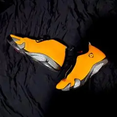 NIKE Air Jordan 14 Retro SE