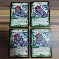 ベニジシスパイダー　4枚