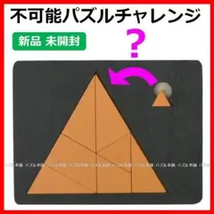 【新品】不可能なジグソーパズルチャレンジ 型はめパズル IQ 知育