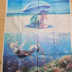 Fate Grand Order モードレッド ロクスタ 沖縄県宮古島 新聞広告