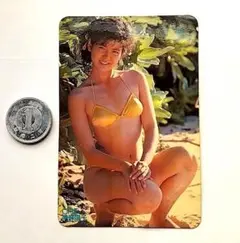 非売品　南野陽子 ビキニ水着　販促カード