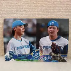 北海道日本ハムファイターズ L判サイズフォト 山﨑福也 伏見寅威