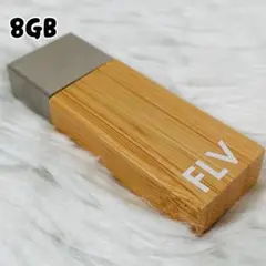 限定 USBメモリ 8GB FONDATION LOUIS VUITTON