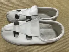 静電靴　（ミドリ安全）29センチ