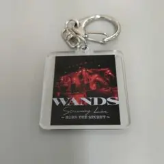 WANDS　ランダムキーホルダー　BURN　THE　SECRET☆