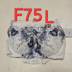 Item thumbnail for item 922a3c26-646c-4241-9b49-fb04c13d878d