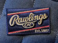 【超レア品】Rawlingsラベル ネイビー×ゴールド