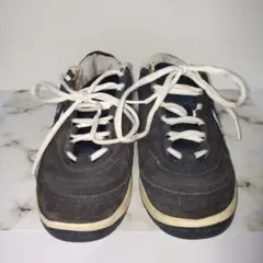 Item thumbnail for item 2bb9740d-0fff-432d-9e81-37a0d030da3f