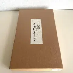 Item thumbnail for item 70f2abe0-9a64-400d-bc88-7369d520190c