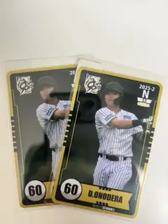 Item thumbnail for item 6916d96b-b40c-4249-8c3d-e4be93cf4861