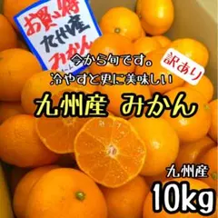 九州産◎みかん 10kg 家庭用 甘くて美味しい◎e