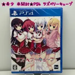 ★希少 未開封★PS4 ラズベリーキューブ 通常版