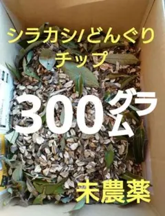 【草木染】 シラカシ/どんぐり　枝葉　チップ 300㌘ 染料 草木染め