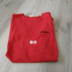 patagonia レギュラーフィット Tシャツ S