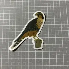 Item thumbnail for item d10f80b1-e48e-43e9-b30c-62f2e17b2a14