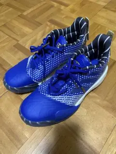 adidas TMAC Millennium トレイシー・マグレディー nba
