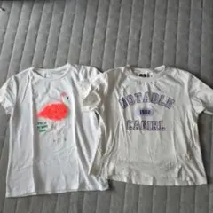 Tシャツ 2枚セット