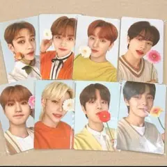 Stray Kids NACIFIC トレカ セット