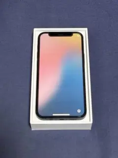 Apple iPhone 12 miniブラック 本体 と Ifaceのケース