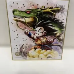 ドラゴンボール色紙ART RAGING 孫悟空&神龍