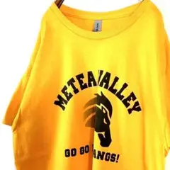 ギルダン METEA VALLEY Tシャツ L イエロー 黄色 古着