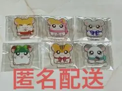 【匿名配送】とっとこハム太郎 アクリルキーホルダー 6個セット