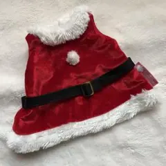 Item thumbnail for item 1d478f90-c5c5-446a-bdaf-69ee78beafc9