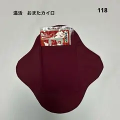 Item thumbnail for item 303ba70b-39a8-471c-a586-50ba73f10444
