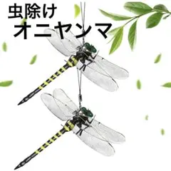 Item thumbnail for item 3995de9c-b80c-468b-9b5e-7297ec79e5bb