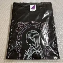 Item thumbnail for item a78c815a-d676-4a0a-8651-79257503885c