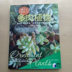 育ててみたい!美しい多肉植物