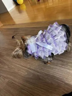 Item thumbnail for item 4babd2fc-d434-4cf3-a4eb-ba819595efb1