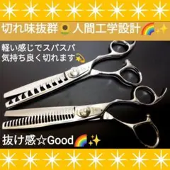 Item thumbnail for item 7e6d96ec-c51d-4125-b48b-5f2943792b75