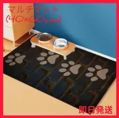 Item thumbnail for item 0a52efdd-1cea-4e9c-a40d-42d39ce9e8a9
