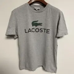 LACOSTE ラコステ グレー ロゴ Tシャツ M