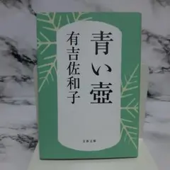 有吉佐和子　青い壺 ④
