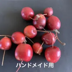 姫りんご 1キロ 1100円