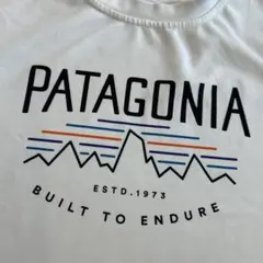 パタゴニア　キッズ　キャプリーンクール　Tシャツ　ノースフェイス好き