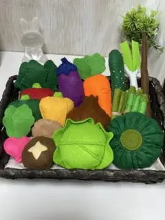 このお野菜何かな？⑨