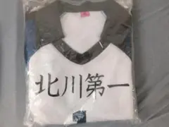 Item thumbnail for item a5418984-b99f-42e6-9404-61795946c153