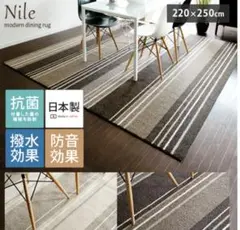 撥水　220×250 ダイニングカーペット