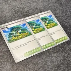 ポケモンカード　活力の森　3枚