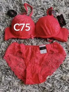 新品　未使用　タグ付き　C75 レースブラジャーショーツセット 赤