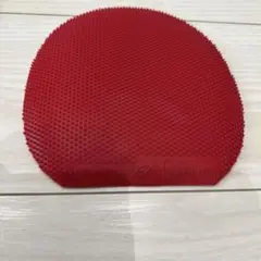 （24番）ピンプルスライド　表イボ